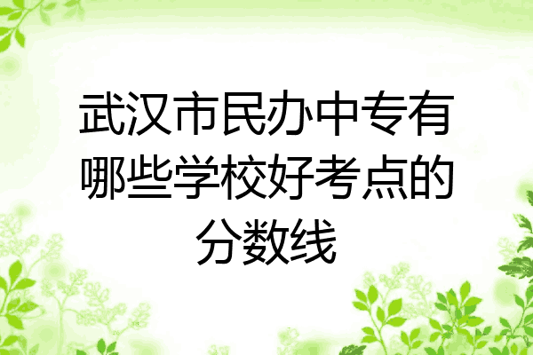 武汉市民办中专有哪些学校好考点的分数线