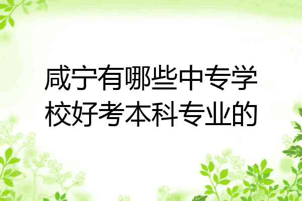 咸宁有哪些中专学校好考本科专业的