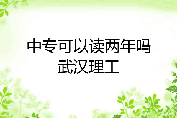 中专可以读两年吗武汉理工