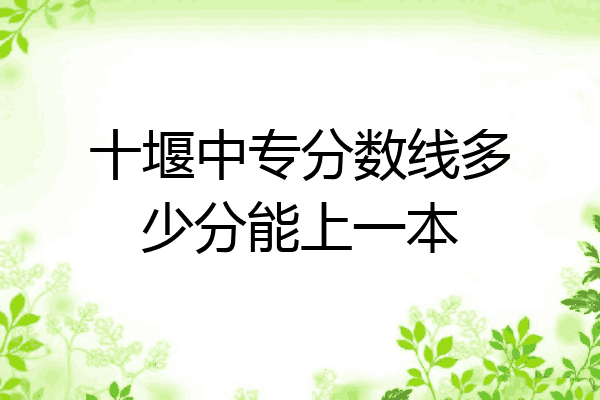 十堰中专分数线多少分能上一本