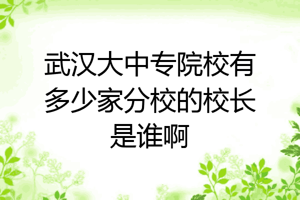 武汉大中专院校有多少家分校的校长是谁啊