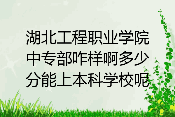 湖北工程职业学院中专部咋样啊多少分能上本科学校呢