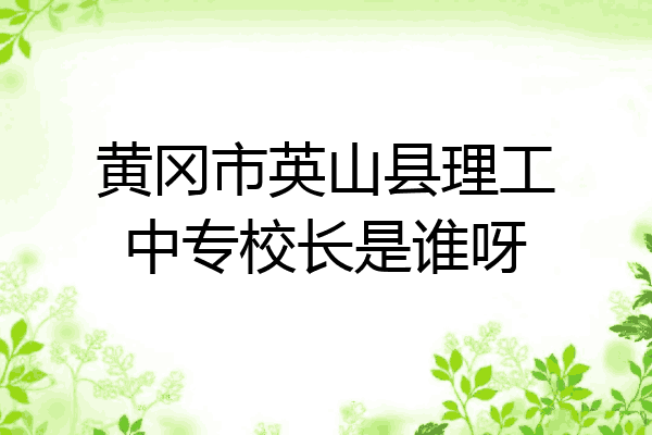 黄冈市英山县理工中专校长是谁呀