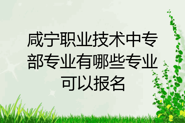 咸宁职业技术中专部专业有哪些专业可以报名