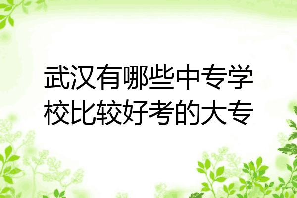 武汉有哪些中专学校比较好考的大专