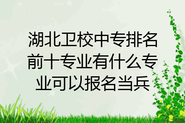 湖北卫校中专排名前十专业有什么专业可以报名当兵
