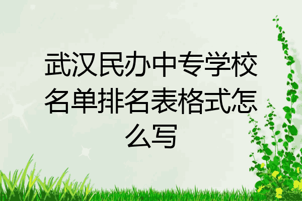 武汉民办中专学校名单排名表格式怎么写