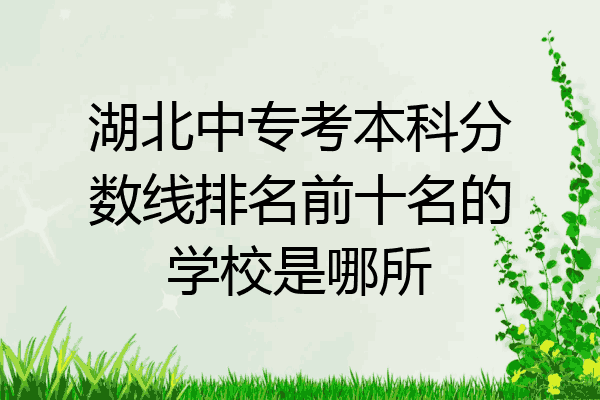 湖北中专考本科分数线排名前十名的学校是哪所