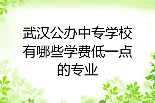 武汉公办中专学校有哪些学费低一点的专业