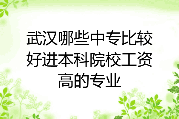 武汉哪些中专比较好进本科院校工资高的专业