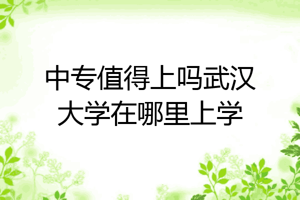 中专值得上吗武汉大学在哪里上学