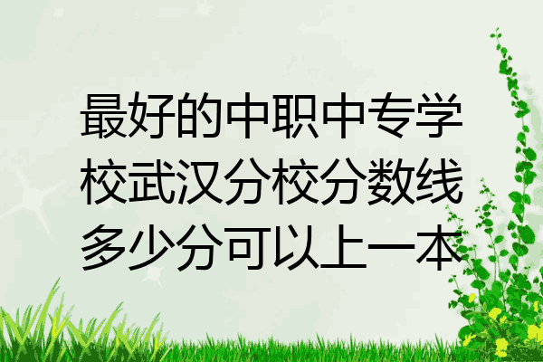 最好的中职中专学校武汉分校分数线多少分可以上一本