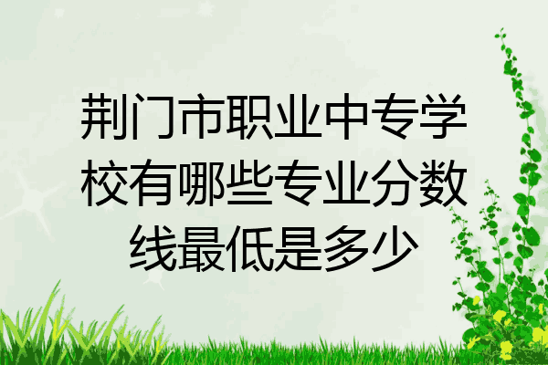 荆门市职业中专学校有哪些专业分数线最低是多少