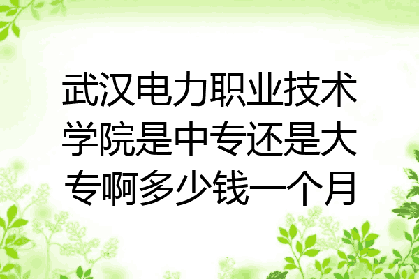 武汉电力职业技术学院是中专还是大专啊多少钱一个月