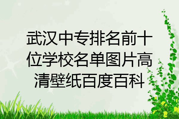 武汉中专排名前十位学校名单图片高清壁纸百度百科