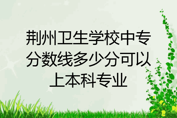 荆州卫生学校中专分数线多少分可以上本科专业