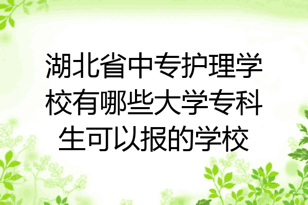 湖北省中专护理学校有哪些大学专科生可以报的学校