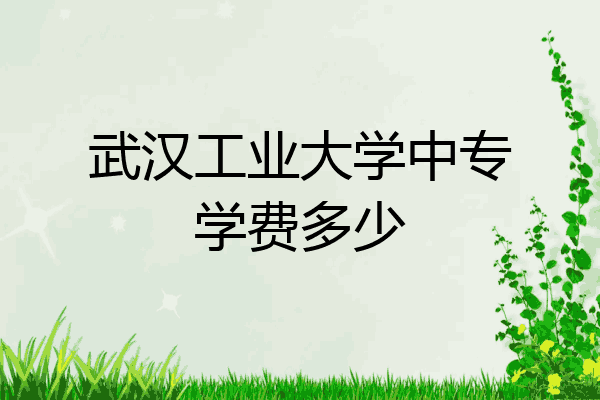 武汉工业大学中专学费多少