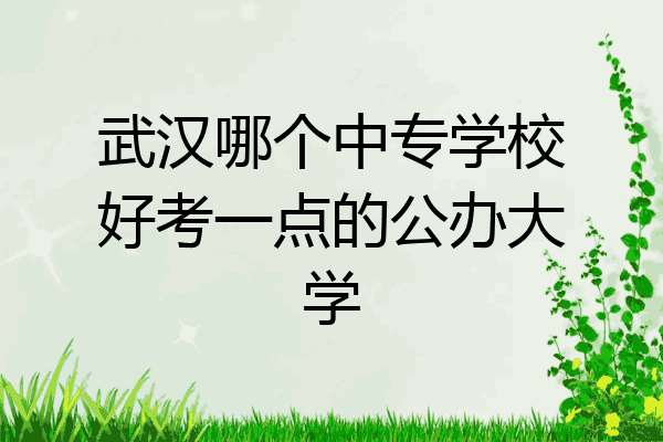 武汉哪个中专学校好考一点的公办大学