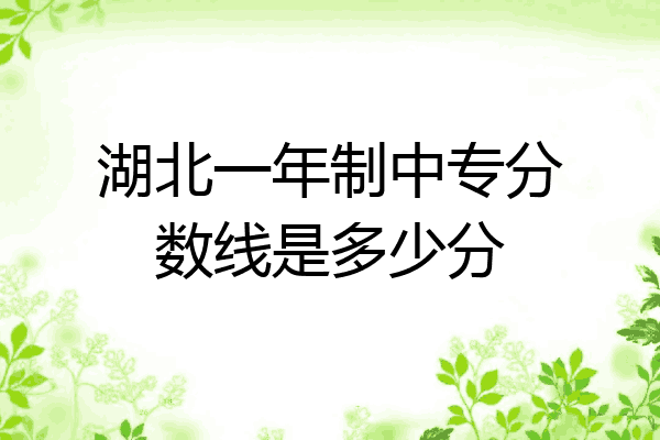 湖北一年制中专分数线是多少分