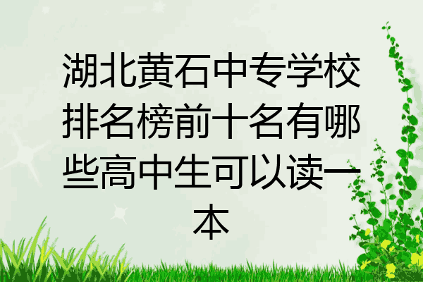 湖北黄石中专学校排名榜前十名有哪些高中生可以读一本