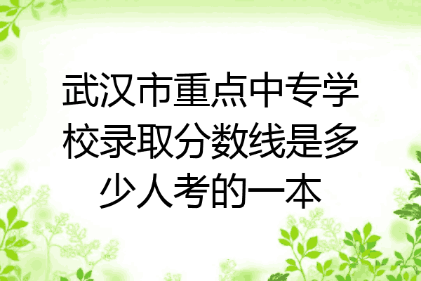武汉市重点中专学校录取分数线是多少人考的一本