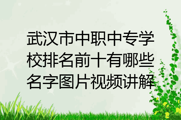 武汉市中职中专学校排名前十有哪些名字图片视频讲解