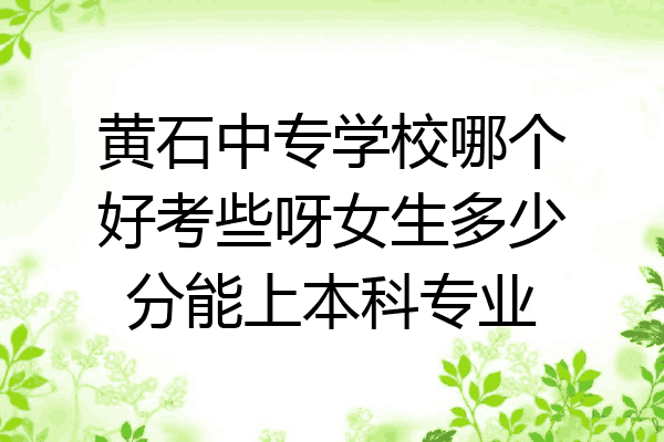 黄石中专学校哪个好考些呀女生多少分能上本科专业