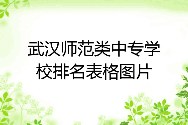 武汉师范类中专学校排名表格图片