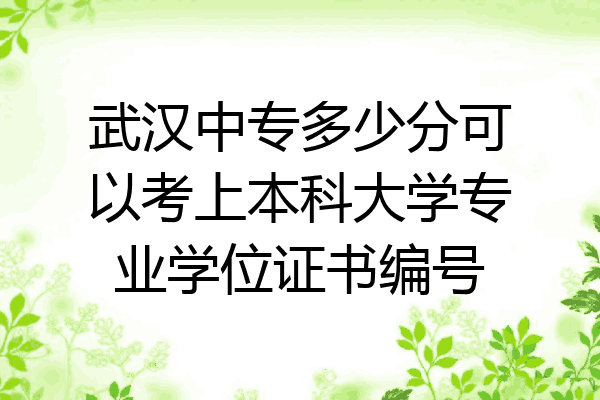 武汉中专多少分可以考上本科大学专业学位证书编号