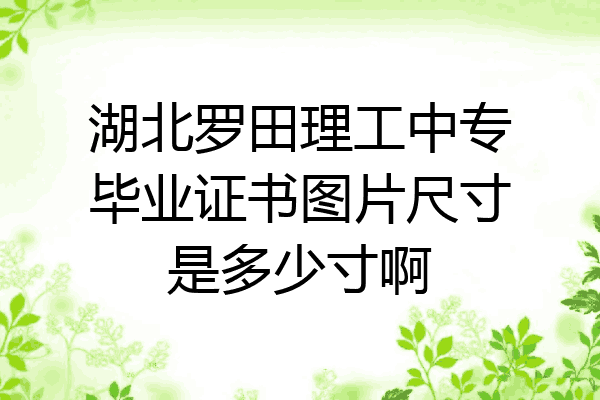 湖北罗田理工中专毕业证书图片尺寸是多少寸啊