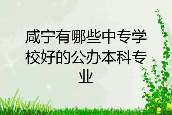 咸宁有哪些中专学校好的公办本科专业