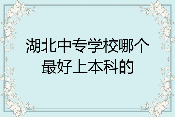 湖北中专学校哪个最好上本科的