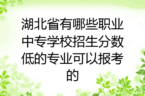 湖北省有哪些职业中专学校招生分数低的专业可以报考的
