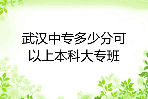 武汉中专多少分可以上本科大专班
