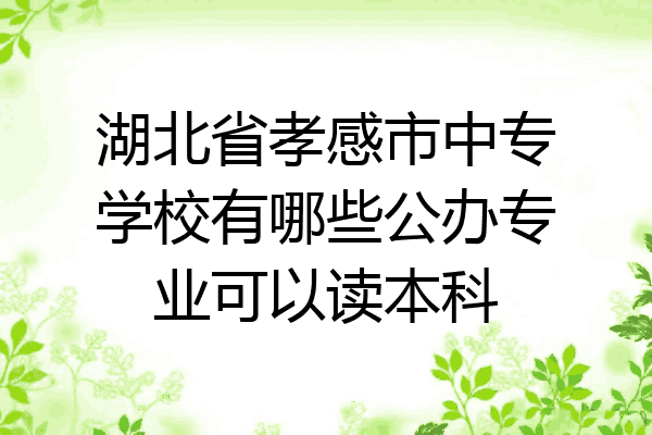 湖北省孝感市中专学校有哪些公办专业可以读本科