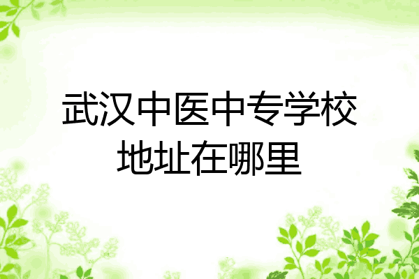 武汉中医中专学校地址在哪里
