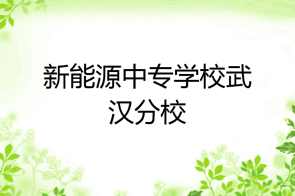 新能源中专学校武汉分校