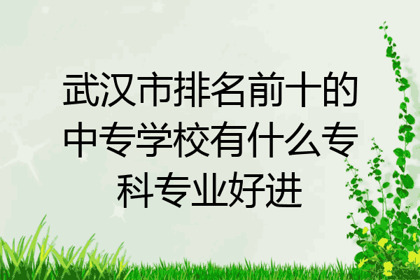 武汉市排名前十的中专学校有什么专科专业好进