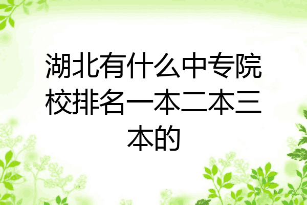 湖北有什么中专院校排名一本二本三本的