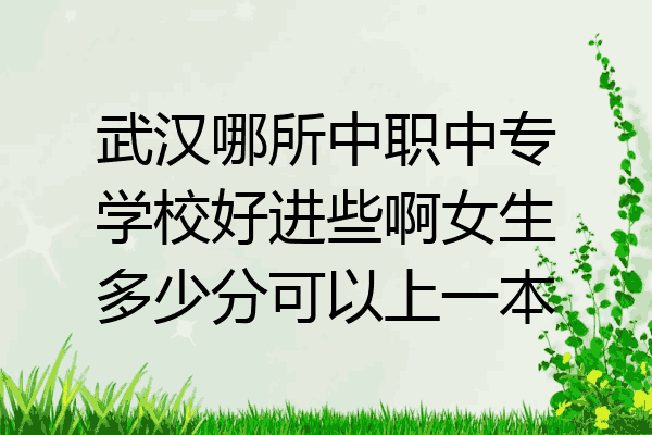 武汉哪所中职中专学校好进些啊女生多少分可以上一本