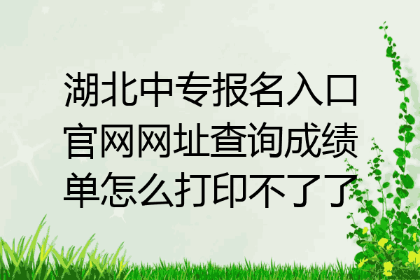 湖北中专报名入口官网网址查询成绩单怎么打印不了了