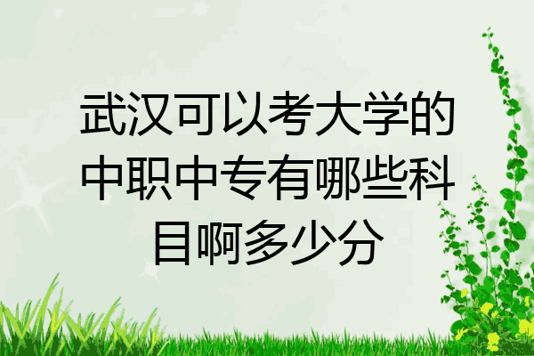 武汉可以考大学的中职中专有哪些科目啊多少分