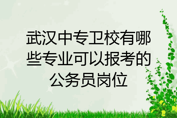 武汉中专卫校有哪些专业可以报考的公务员岗位