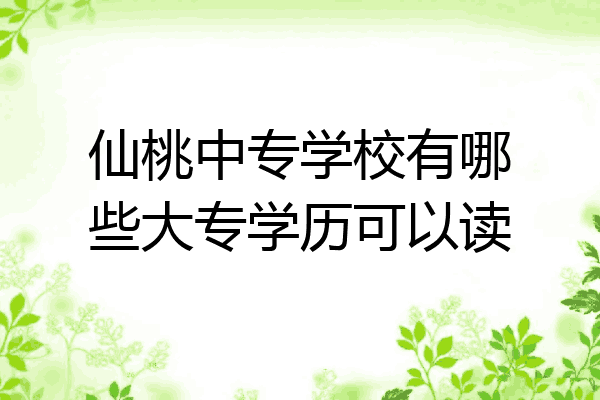 仙桃中专学校有哪些大专学历可以读