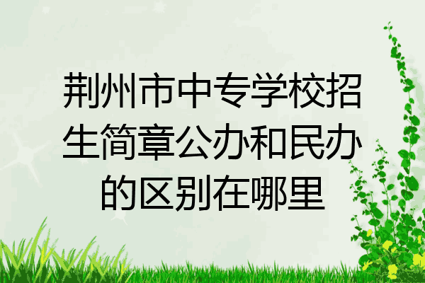 荆州市中专学校招生简章公办和民办的区别在哪里