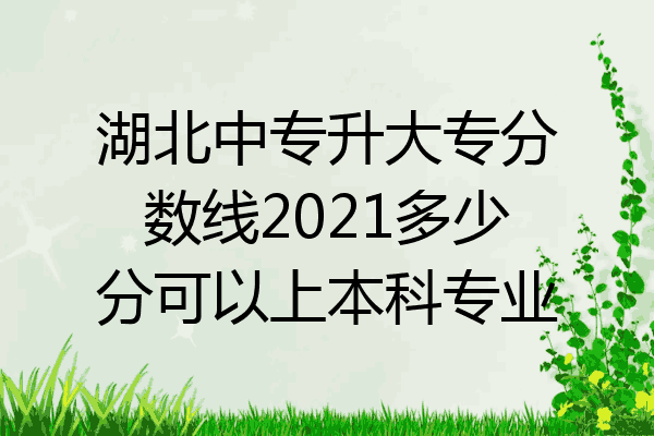湖北中专升大专分数线2021多少分可以上本科专业