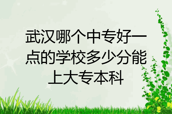 武汉哪个中专好一点的学校多少分能上大专本科