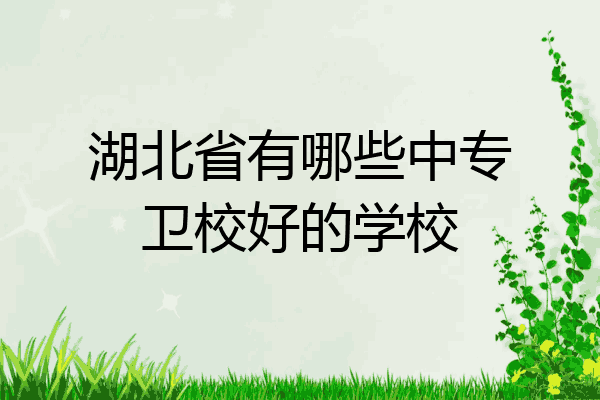 湖北省有哪些中专卫校好的学校