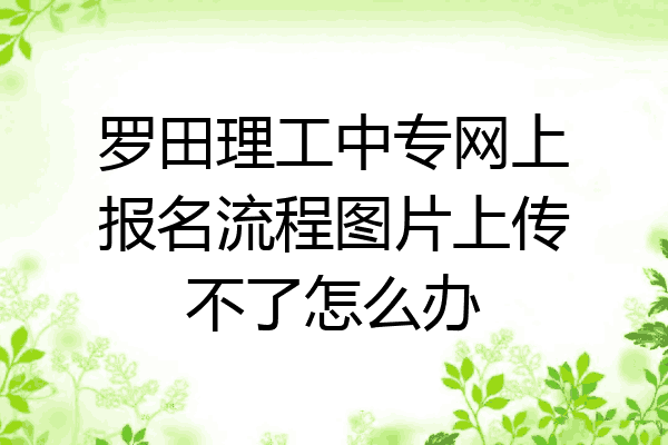 罗田理工中专网上报名流程图片上传不了怎么办
